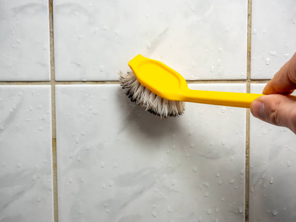 Home Mold Removal in Knox, IN